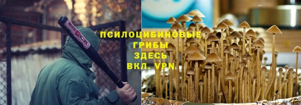 spice Алексеевка
